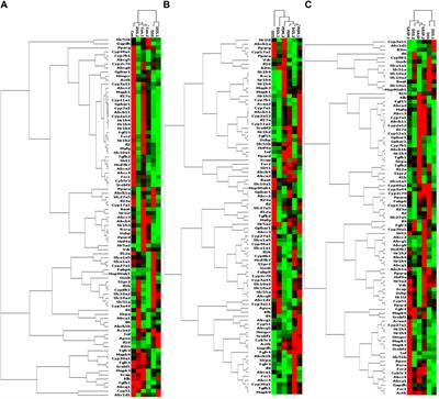 Pulsatilla decoction alleviates DSS-induced UC by activating FXR-ASBT pathways to ameliorate disordered bile acids homeostasis